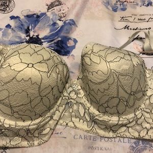 Push up bra by Daisy Fuentes